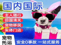 栎社机场货运国际宠物托运 【国